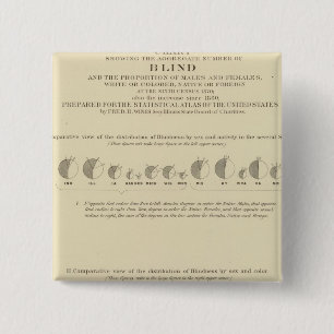 Badge Carré 5 Cm Cécité, statistique US Lithograph 1870
