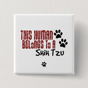 Badge Carré 5 Cm Cet humain appartient à un Shih Tzu