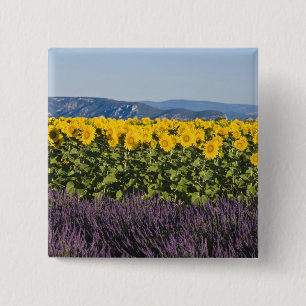 Badge Carré 5 Cm Champ de tournesols et fleurs de lavande,