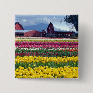 Badge Carré 5 Cm Champ de tulipes