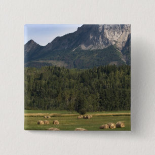 Badge Carré 5 Cm Champs avec du foin mis en balles, Alberta, Canada