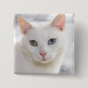 Badge Carré 5 Cm chat blanc aux yeux étranges