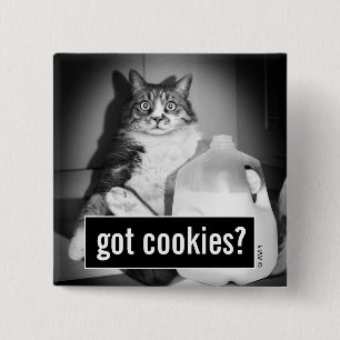 Badge Carré 5 Cm Chat Boire Du Lait De Jug