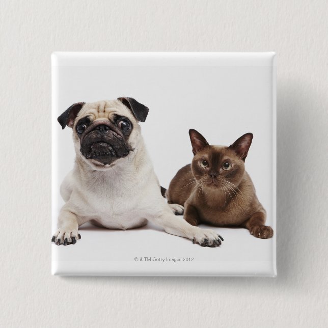Badge Carré 5 Cm Chat carlin et birman (Devant)