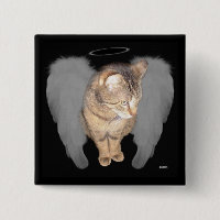 Chat d'ange (Lucian)