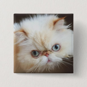 Badge Carré 5 Cm Chat dans une boîte