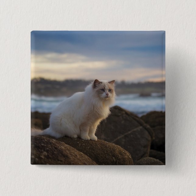 Badge Carré 5 Cm Chat de Ragdoll à la plage (Devant)