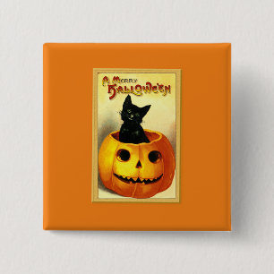 Badge Carré 5 Cm Chat d'Halloween assis dans une citrouille Jack O