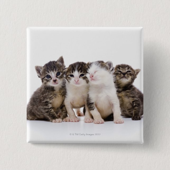 Badge Carré 5 Cm chat japonais (Devant)