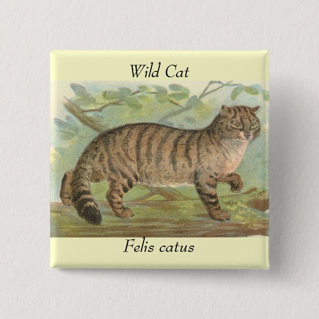 Badge Carré 5 Cm Chat sauvage (Devant)