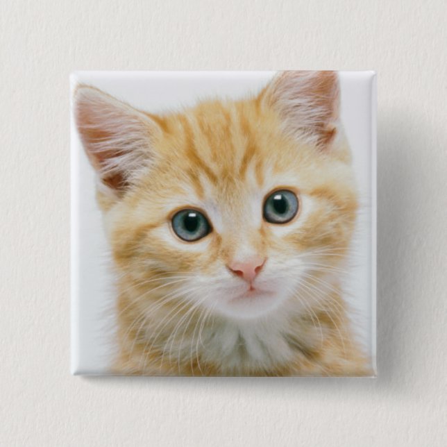 Badge Carré 5 Cm Chat tigré d'orange douce (Devant)