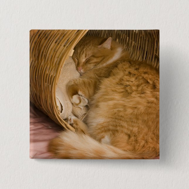 Badge Carré 5 Cm Chat tigré orange dormant dans un panier (Devant)