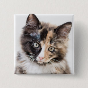 Badge Carré 5 Cm Chaton adorable de calicot