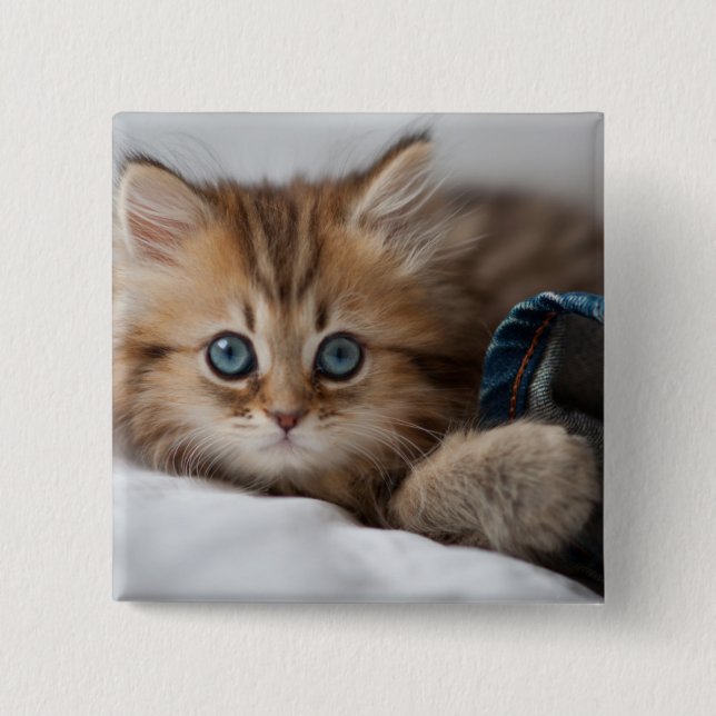 Badge Carré 5 Cm Chaton avec des yeux bleus (Devant)