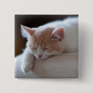 Badge Carré 5 Cm Chaton beige et blanc fatigué