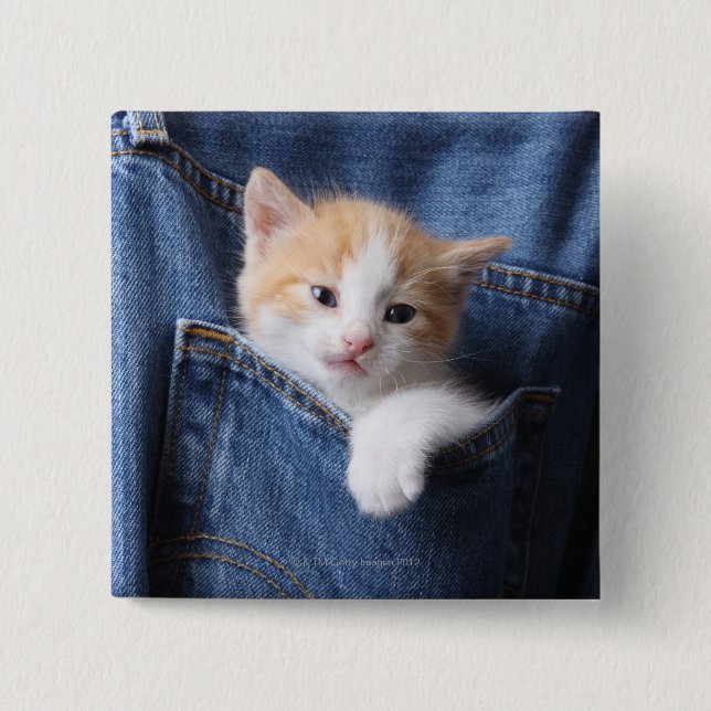 Badge Carré 5 Cm chaton dans le sac de jeans (Devant)