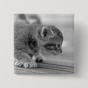 Badge Carré 5 Cm Chaton de acroupissement
