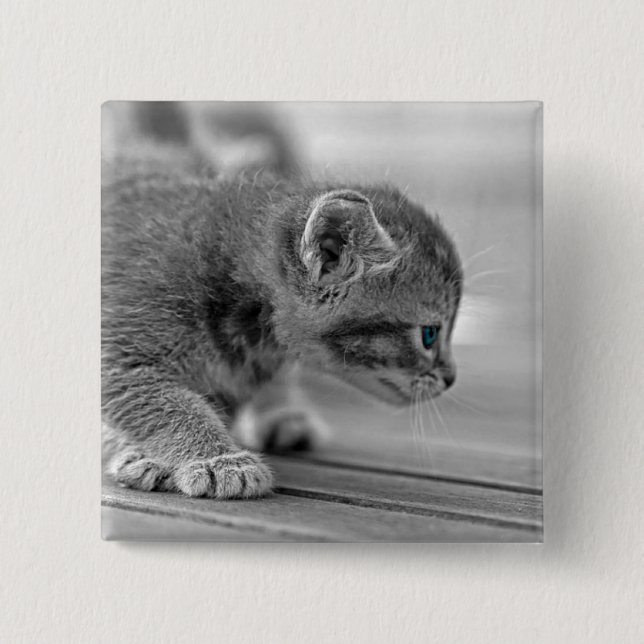 Badge Carré 5 Cm Chaton de acroupissement (Devant)