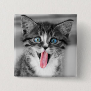 Badge Carré 5 Cm Chaton drôle