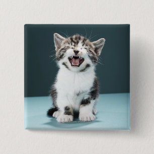 Badge Carré 5 Cm Chaton meowing