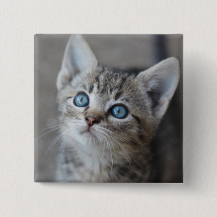 Badge Carré 5 Cm Chaton mignon dans le jardin
