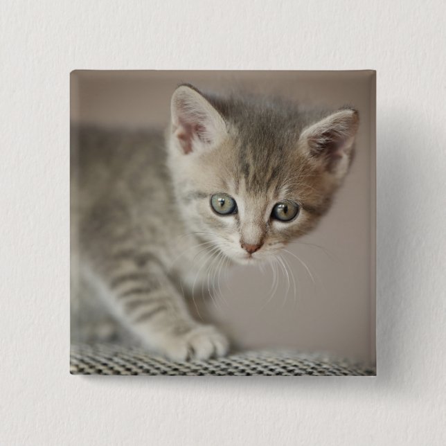 Badge Carré 5 Cm Chaton minuscule (Devant)