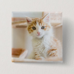 Badge Carré 5 Cm Chaton orange et blanc