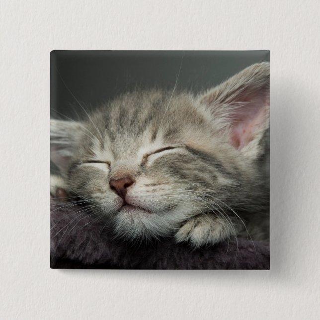 Badge Carré 5 Cm Chaton somnolent (Devant)