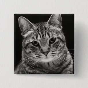 Badge Carré 5 Cm Chaton tigré noir