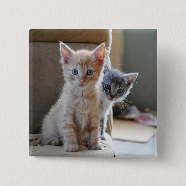 Badge Carré 5 Cm Chatons curieux (Devant)