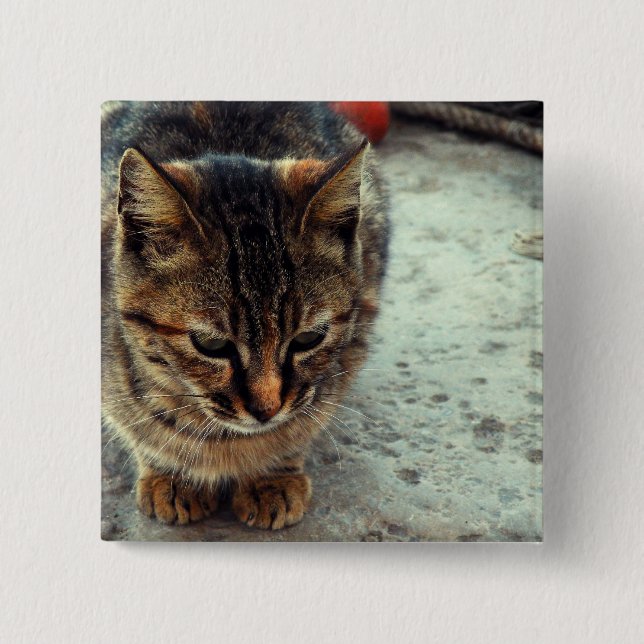 Badge Carré 5 Cm Chatte (Devant)