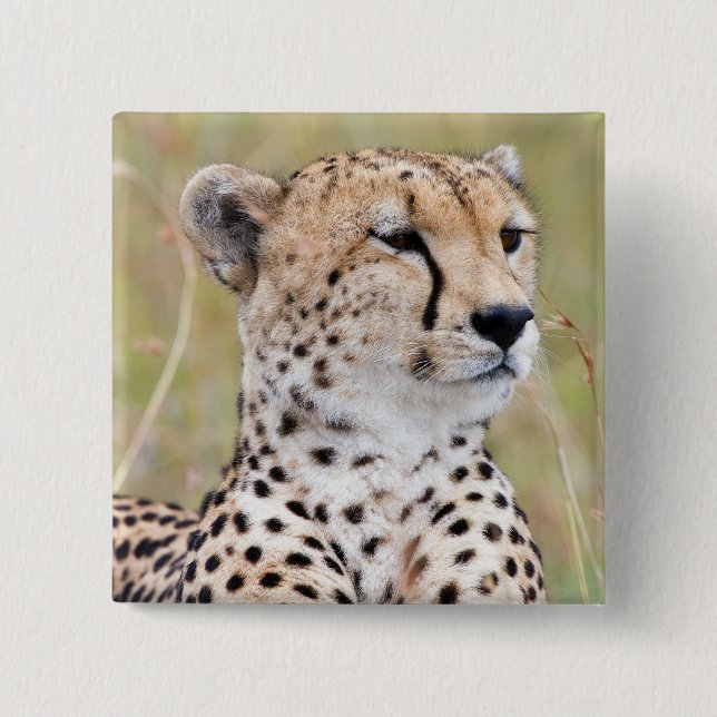Badge Carré 5 Cm Cheetah (Devant)