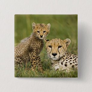 Badge Carré 5 Cm Cheetah, Acinonyx jubatus, avec Cub
