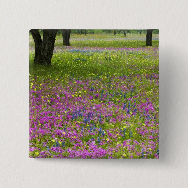 Badge Carré 5 Cm Chênes avec champ de Phlox, Blue Bonnets (Devant)