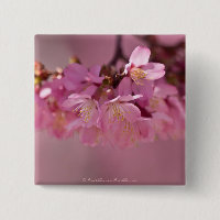 Cherry Blossoms Hot Spring 2012 Apparel & Gifts