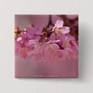 Badge Carré 5 Cm Cherry Blossoms Hot Spring  2012 Apparel  & Gifts
