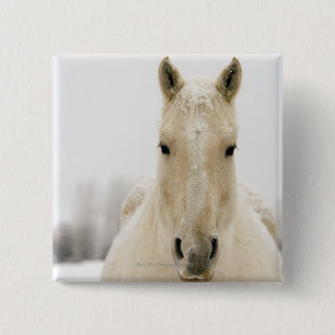 Badge Carré 5 Cm Cheval avec la neige sur la tête