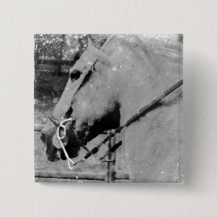 Badge Carré 5 Cm Cheval en noir et blanc