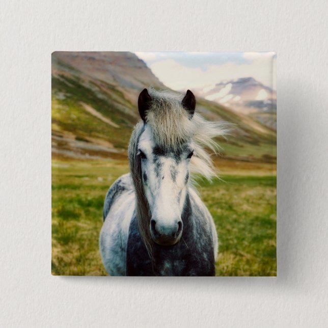 Badge Carré 5 Cm Cheval gris sauvage dans les montagnes (Devant)