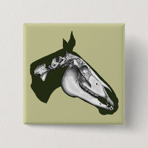 Badge Carré 5 Cm Cheval Squelette