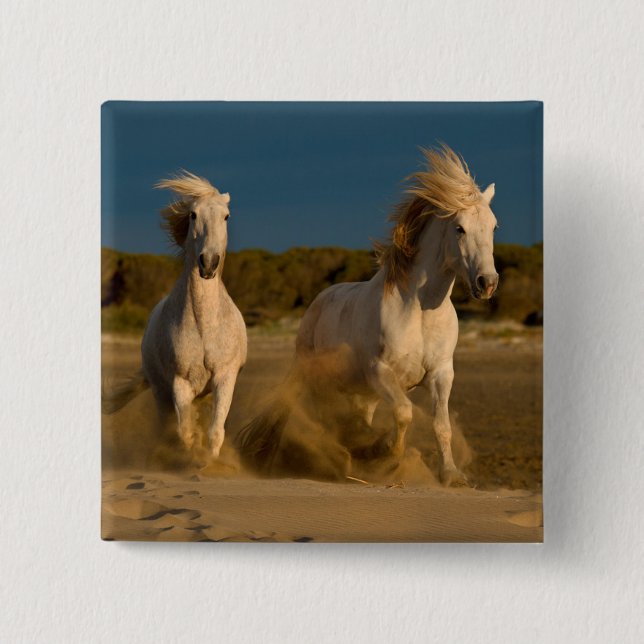 Badge Carré 5 Cm Chevaux blancs fonctionnant sur la plage | (Devant)