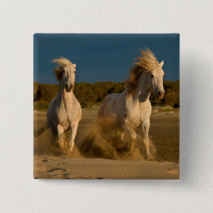 Badge Carré 5 Cm Chevaux blancs fonctionnant sur la plage