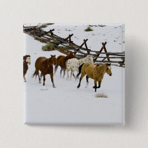 Badge Carré 5 Cm Chevaux courant dans la neige