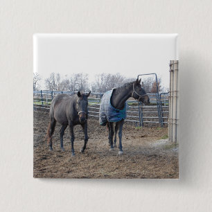 Badge Carré 5 Cm Chevaux De Ferme De Grange