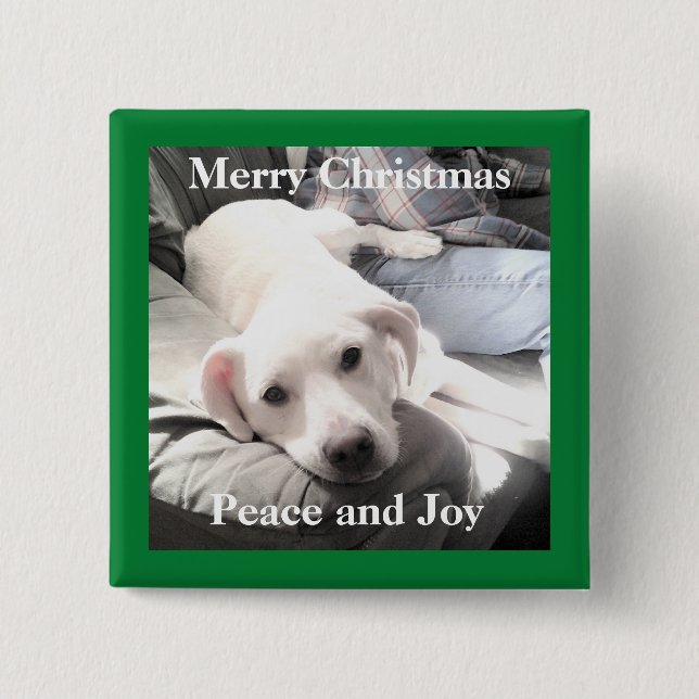 Badge Carré 5 Cm Chien blanc mignon avec papa sur le canapé vert (Devant)