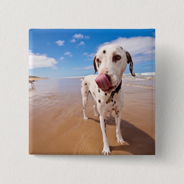 Badge Carré 5 Cm Chien dalmatien sur la plage (Devant)