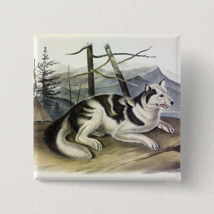 Badge Carré 5 Cm Chien d'Amérique (Chien du fleuve Mackenzie) par A