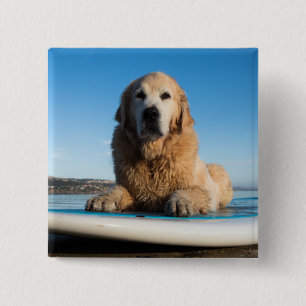 Badge Carré 5 Cm Chien de golden retriever s'étendant sur un