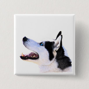 Badge Carré 5 Cm chien de traîneau sibérien