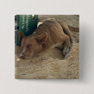 Badge Carré 5 Cm Chien endormi